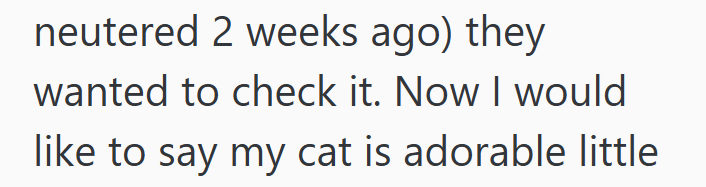 neutered 2 weeks ago) they wanted to check it. Now I would like to say my cat is adorable little