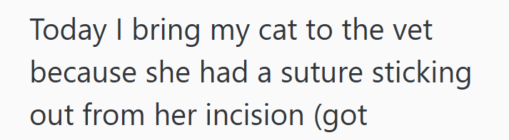 Today I bring my cat to the vet because she had a suture sticking out from her incision (got
