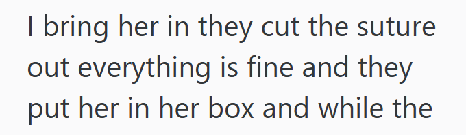 I bring her in they cut the suture out everything is fine and they put her in her box and while the