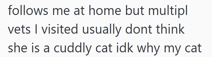 follows me at home but multipl vets I visited usually dont think she is a cuddly cat idk why my cat