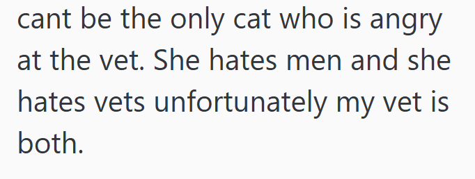 cant be the only cat who is angry at the vet. She hates men and she hates vets unfortunately my vet is both.