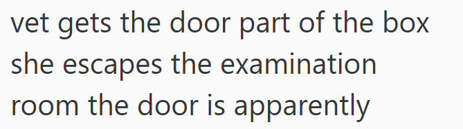 vet gets the door part of the box she escapes the examination room the door is apparently