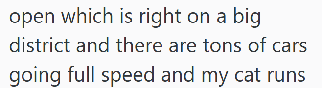 open which is right on a big district and there are tons of cars going full speed and my cat runs