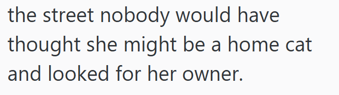the street nobody would have thought she might be a home cat and looked for her owner.
