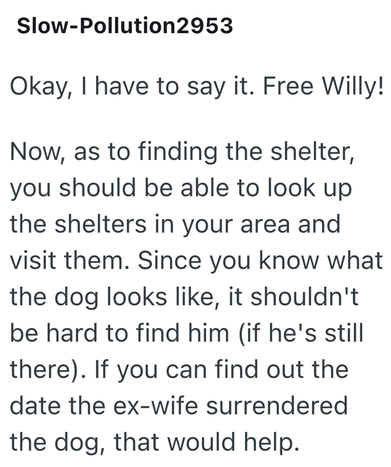 Slow-Pollution2953 Okay, I have to say it. Free Willy! Now, as to finding the shelter, you should be able to look up the shelters in your area and visit them. Since you know what the dog looks like, it shouldn't be hard to find him (if he's still there). If you can find out the date the ex-wife surrendered the dog, that would help.