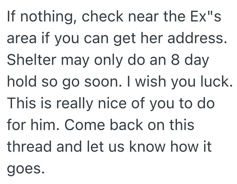 If nothing, check near the Ex"s area if you can get her address. Shelter may only do an 8 day hold so go soon. I wish you luck. This is really nice of you to do for him. Come back on this thread and let us know how it goes.