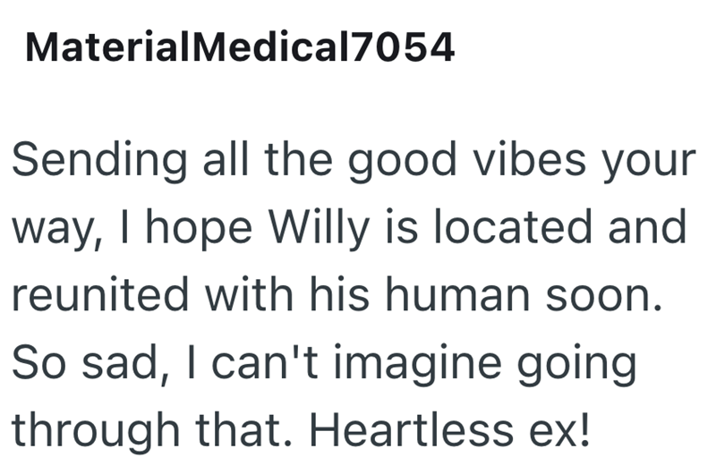 MaterialMedical7054 Sending all the good vibes your way, I hope Willy is located and reunited with his human soon. So sad, I can't imagine going through that. Heartless ex!