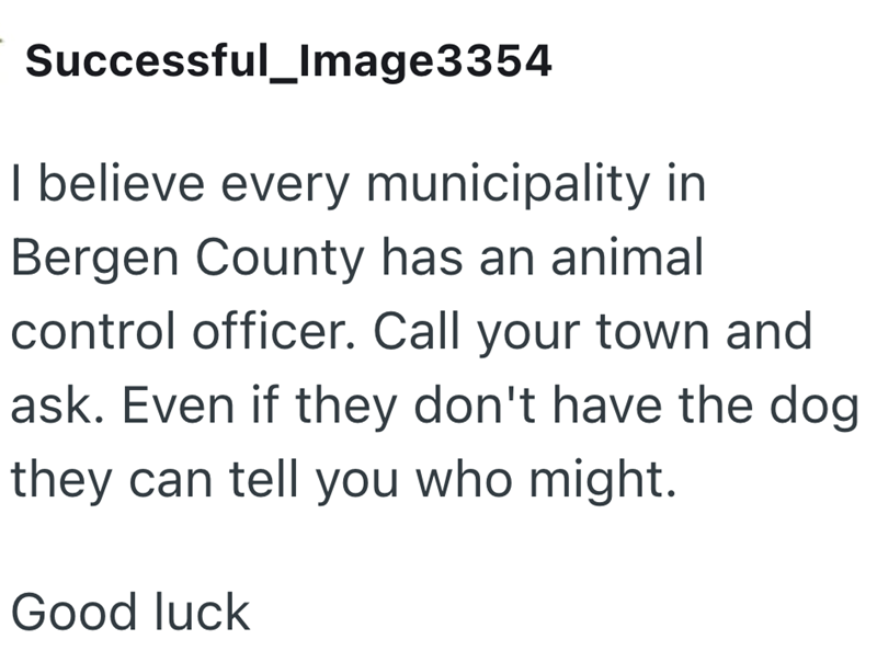 Successful_Image3354 I believe every municipality in Bergen County has an animal control officer. Call your town and ask. Even if they don't have the dog they can tell you who might. Good luck