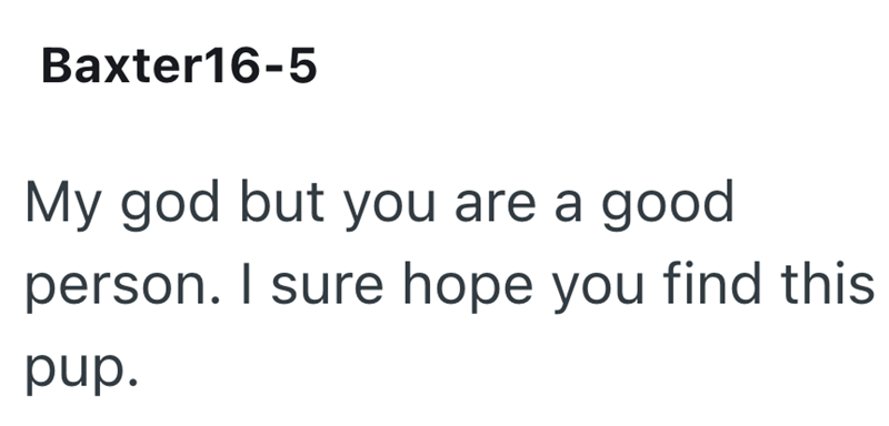 Baxter16-5 My god but you are a good person. I sure hope you find this pup.