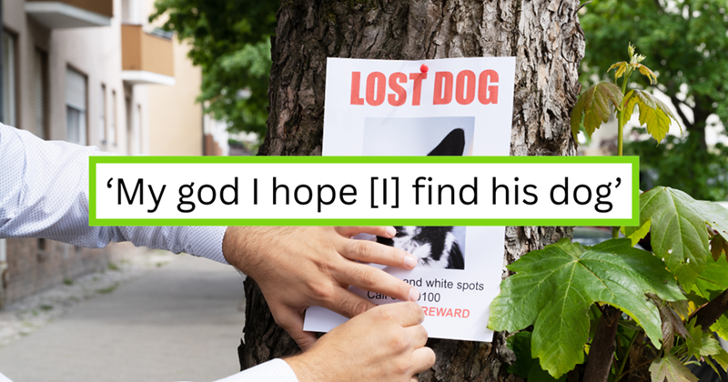LOST DOG 'My god I hope [I] find his dog' Cai and white spots 100 REWARD