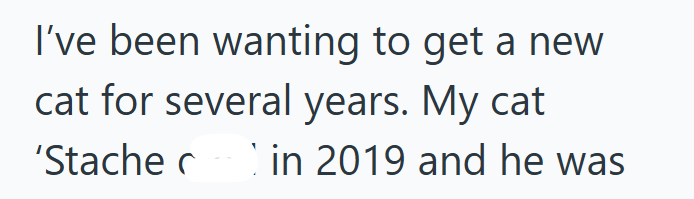 I've been wanting to get a new cat for several years. My cat 'Stache in 2019 and he was