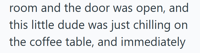 room and the door was open, and this little dude was just chilling on the coffee table, and immediately