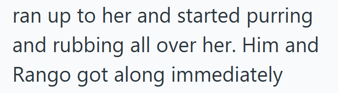 ran up to her and started purring and rubbing all over her. Him and Rango got along immediately