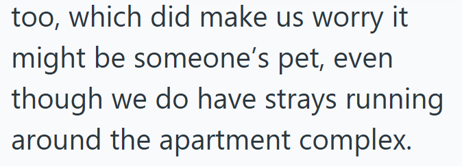 too, which did make us worry it might be someone's pet, even though we do have strays running around the apartment complex.
