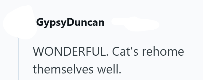GypsyDuncan WONDERFUL. Cat's rehome themselves well.
