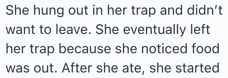 She hung out in her trap and didn't want to leave. She eventually left her trap because she noticed food was out. After she ate, she started