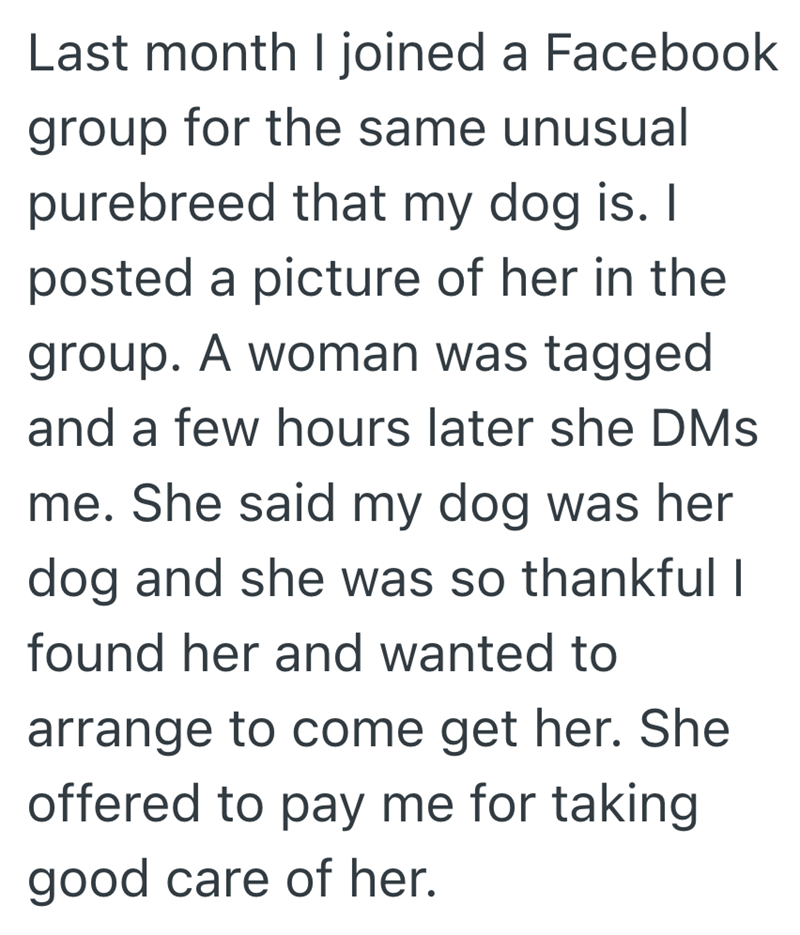Last month I joined a Facebook group for the same unusual purebreed that my dog is. I posted a picture of her in the group. A woman was tagged and a few hours later she DMs me. She said my dog was her dog and she was so thankful I found her and wanted to arrange to come get her. She offered to pay me for taking good care of her.