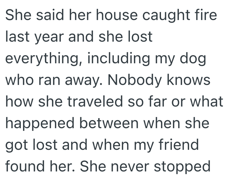 She said her house caught fire last year and she lost everything, including my dog who ran away. Nobody knows how she traveled so far or what happened between when she got lost and when my friend found her. She never stopped