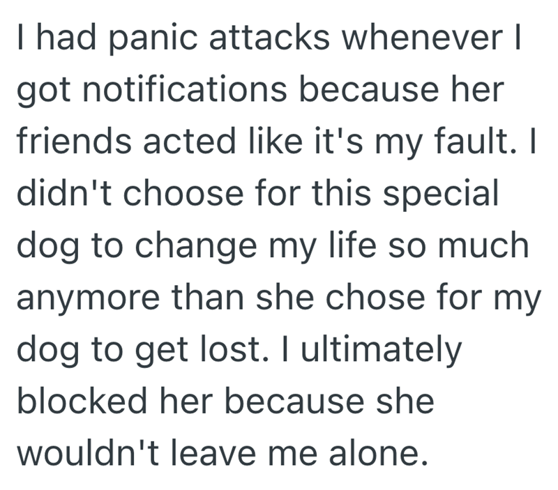 I had panic attacks whenever I got notifications because her friends acted like it's my fault. I didn't choose for this special dog to change my life so much anymore than she chose for my dog to get lost. I ultimately blocked her because she wouldn't leave me alone.