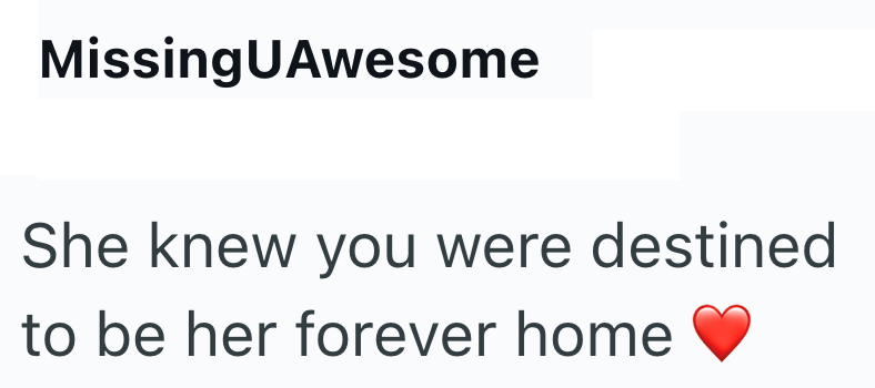 MissingUAwesome She knew you were destined to be her forever home