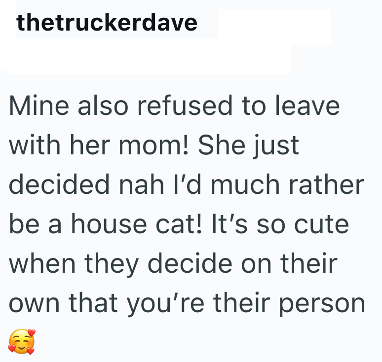 thetruckerdave Mine also refused to leave with her mom! She just decided nah I'd much rather be a house cat! It's so cute when they decide on their own that you're their person