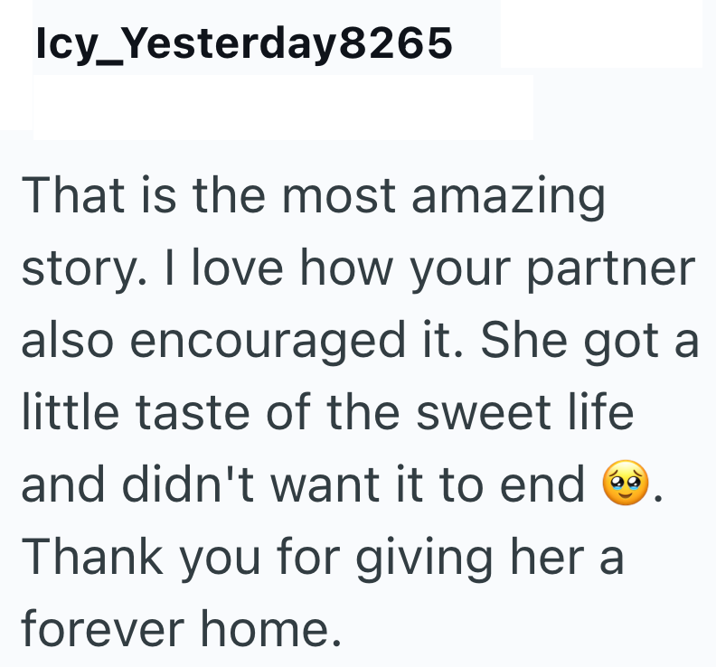 Icy_Yesterday8265 That is the most amazing story. I love how your partner also encouraged it. She got a little taste of the sweet life and didn't want it to end d Thank you for giving her a forever home.