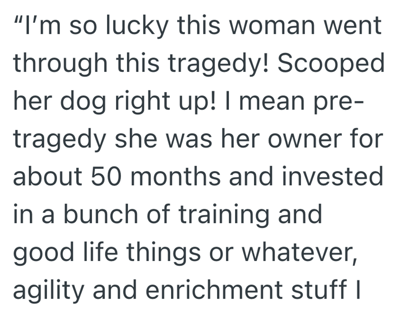 "I'm so lucky this woman went through this tragedy! Scooped her dog right up! I mean pre- tragedy she was her owner for about 50 months and invested in a bunch of training and good life things or whatever, agility and enrichment stuff I