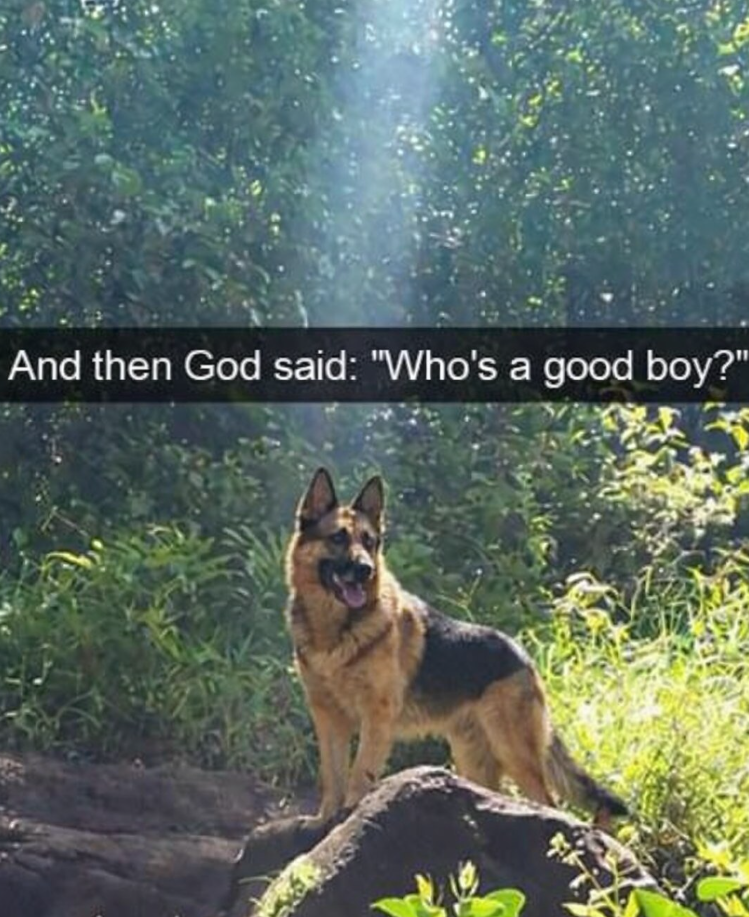 And then God said: "Who's a good boy?"