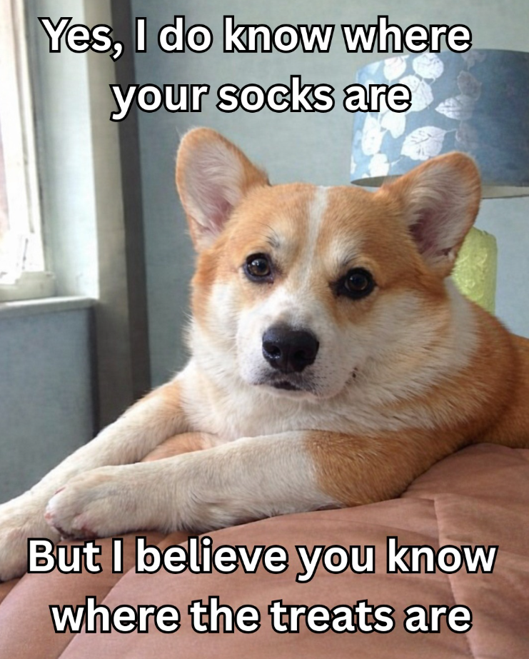 Yes, I do know where your socks are But I believe you know where the treats are