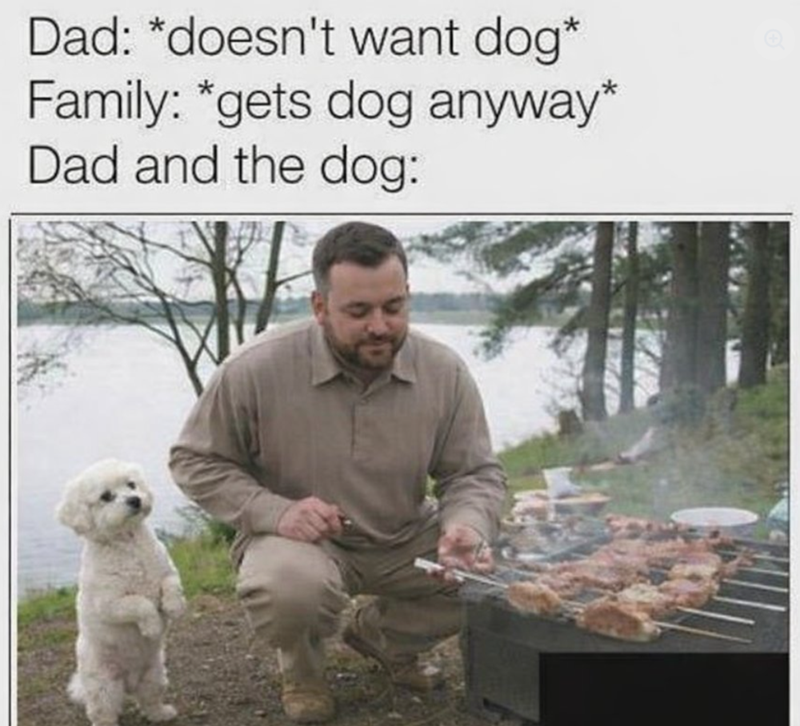 Dad: *doesn't want dog* Family: *gets dog anyway* Dad and the dog: