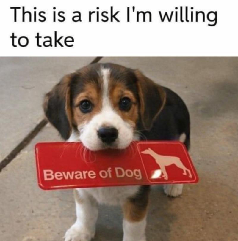 This is a risk I'm willing to take Beware of Dog