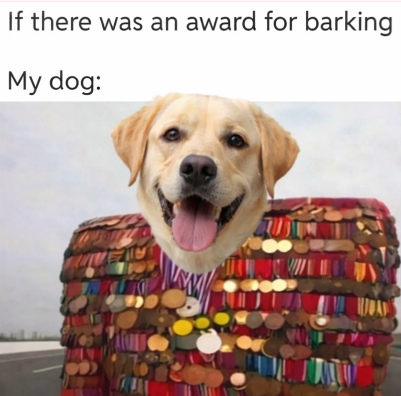 If there was an award for barking My dog: VEIC