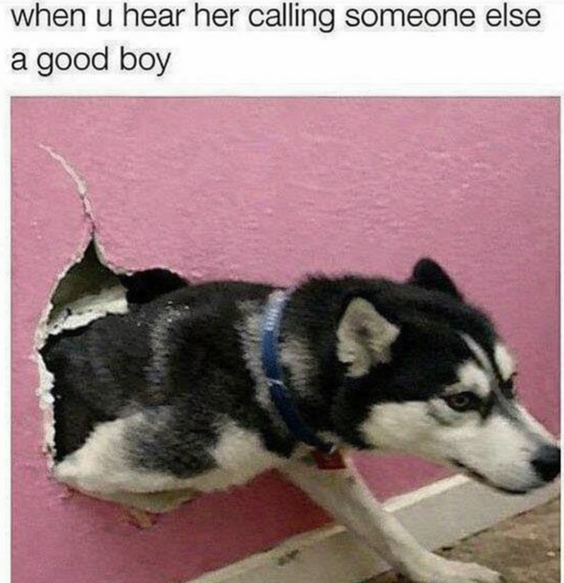 when u hear her calling someone else a good boy