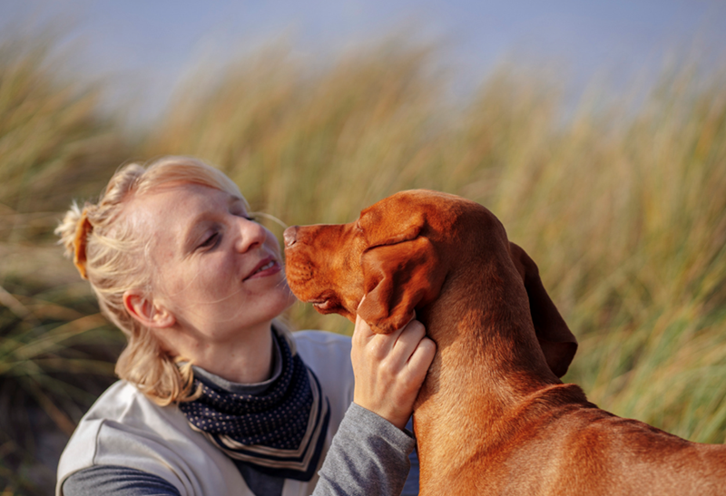 Cheezburger Image 10624869376