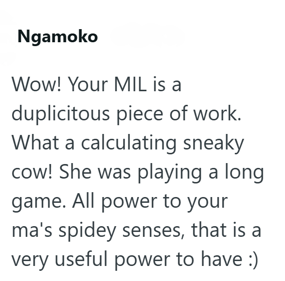 Ngamoko Wow! Your MIL is a duplicitous piece of work. What a calculating sneaky cow! She was playing a long game. All power to your ma's spidey senses, that is a very useful power to have :)
