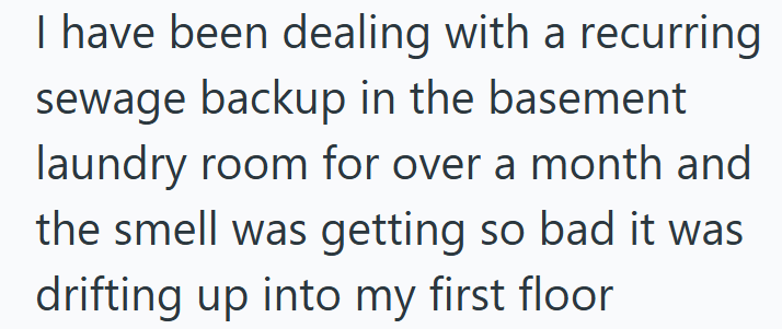 I have been dealing with a recurring sewage backup in the basement laundry room for over a month and the smell was getting so bad it was drifting up into my first floor