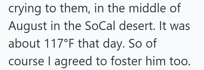 crying to them, in the middle of August in the SoCal desert. It was about 117°F that day. So of course I agreed to foster him too.