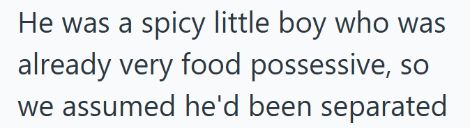 He was a spicy little boy who was already very food possessive, so we assumed he'd been separated