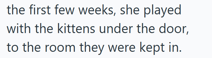 the first few weeks, she played with the kittens under the door, to the room they were kept in.