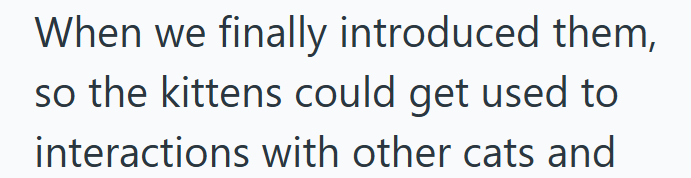 When we finally introduced them, so the kittens could get used to interactions with other cats and