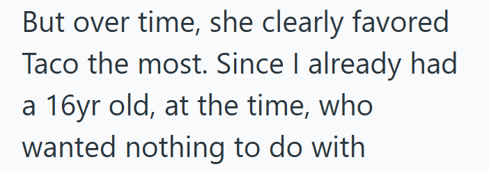 But over time, she clearly favored Taco the most. Since I already had a 16yr old, at the time, who wanted nothing to do with