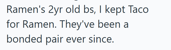 Ramen's 2yr old bs, I kept Taco for Ramen. They've been a bonded pair ever since.
