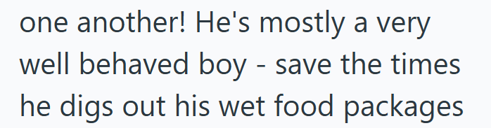 one another! He's mostly a very well behaved boy - save the times he digs out his wet food packages