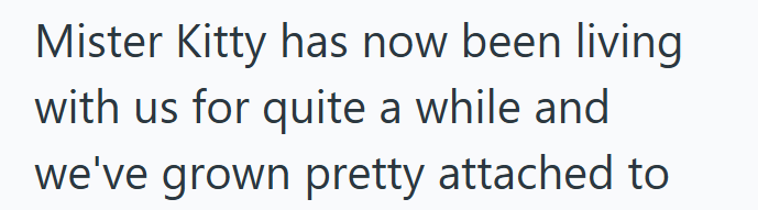 Mister Kitty has now been living with us for quite a while and we've grown pretty attached to