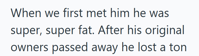 When we first met him he was super, super fat. After his original owners passed away he lost a ton