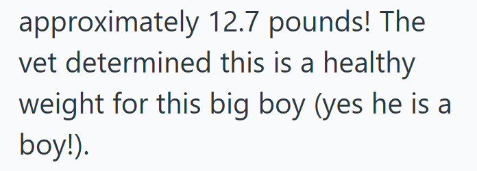 approximately 12.7 pounds! The vet determined this is a healthy weight for this big boy (yes he is a boy!).