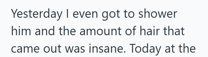 Yesterday I even got to shower him and the amount of hair that came out was insane. Today at the