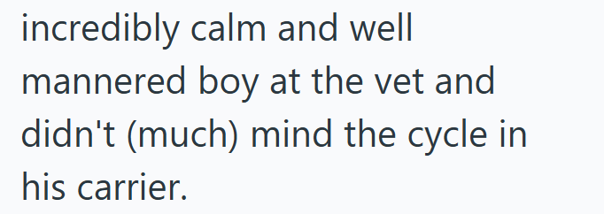 incredibly calm and well mannered boy at the vet and didn't (much) mind the cycle in his carrier.