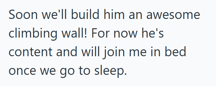 Soon we'll build him an awesome climbing wall! For now he's content and will join me in bed once we go to sleep.