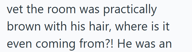 vet the room was practically brown with his hair, where is it even coming from?! He was an